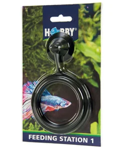 HOBBY – Feeding station rotonda